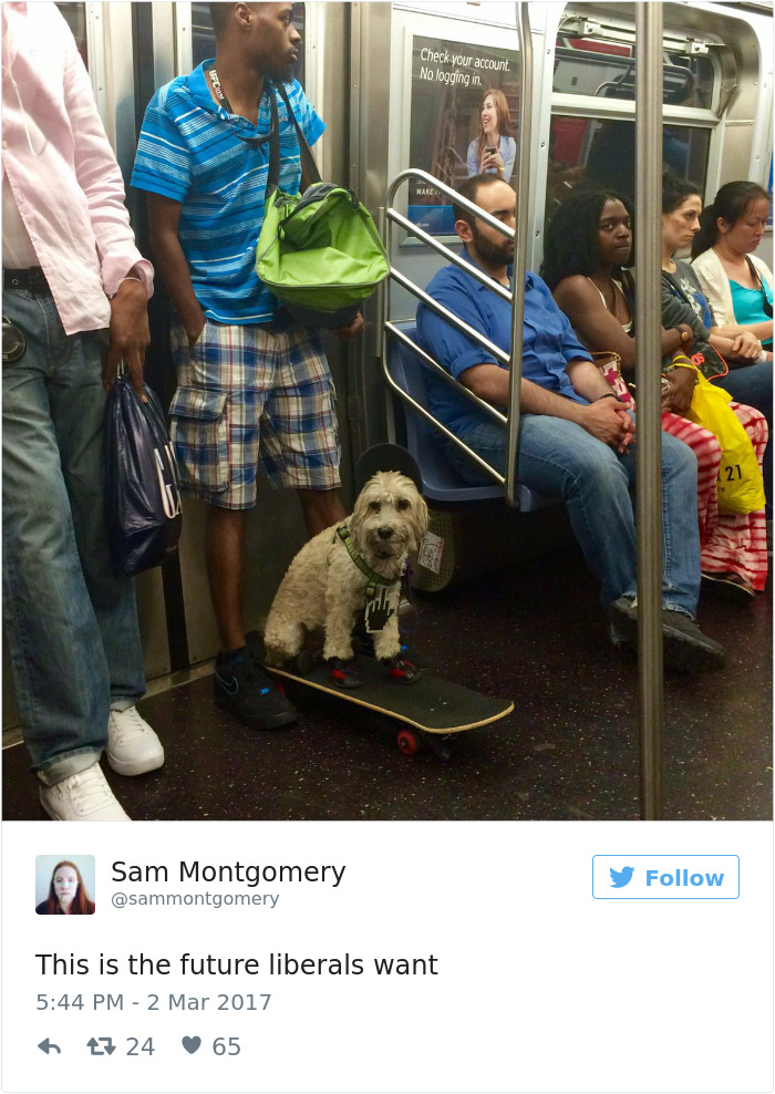 Future-that-liberals-want-twitter-meme