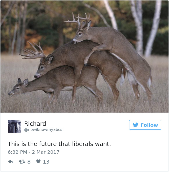 Future-that-liberals-want-twitter-meme