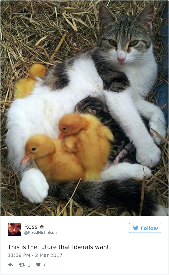 Future-that-liberals-want-twitter-meme