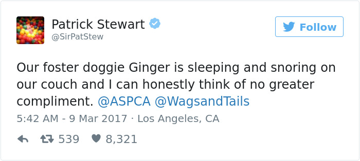 Patrick Stewart Meets His New Foster Pit Bull, Falls In Love Immediately