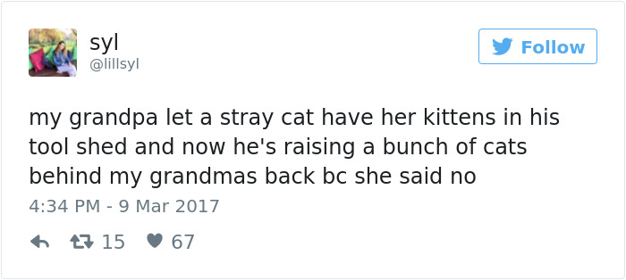 Grandpa Secretly Raises Stray Kittens After Wife Told He Couldn't Keep Them Grandpa Secretly Raises Stray Kittens After Wife Told He Couldn't Keep Them