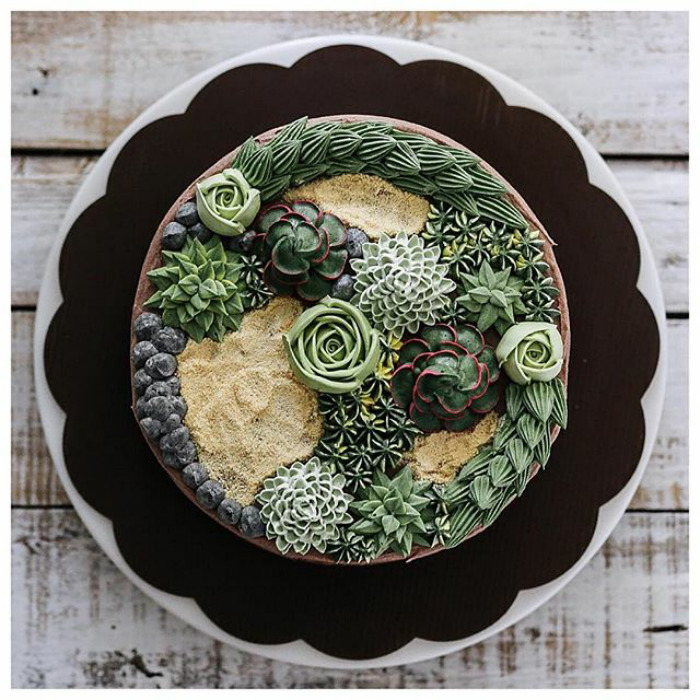 Succulent Cakes