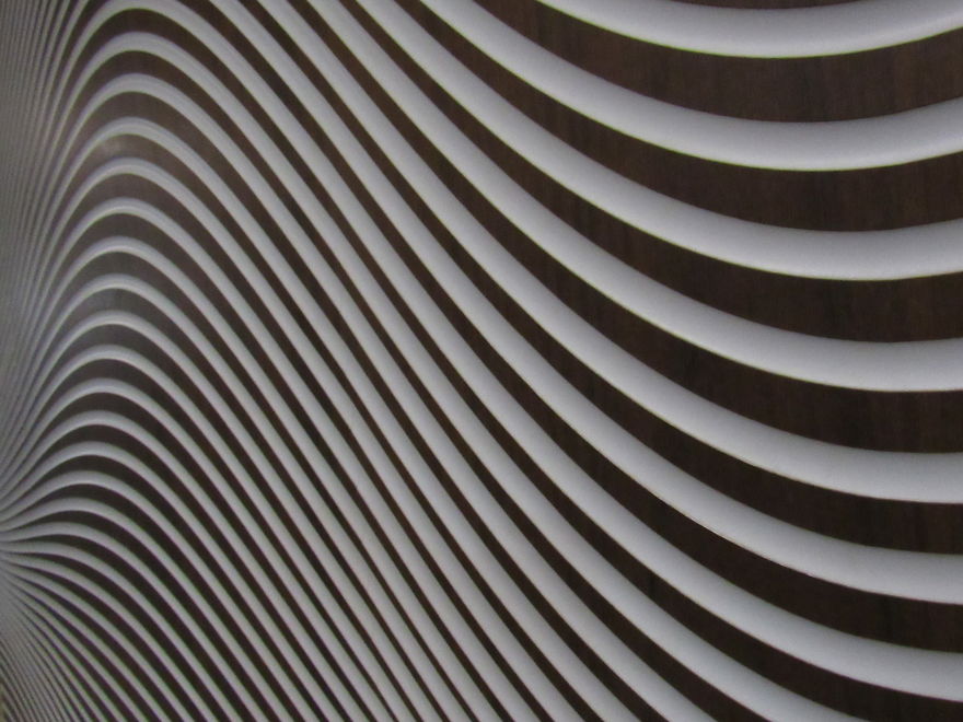 9 Year Old Wants To Become Photographer And Does