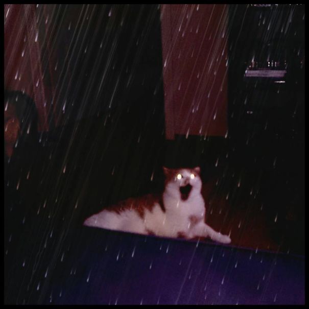 Call The Exorcist!!! Fast!