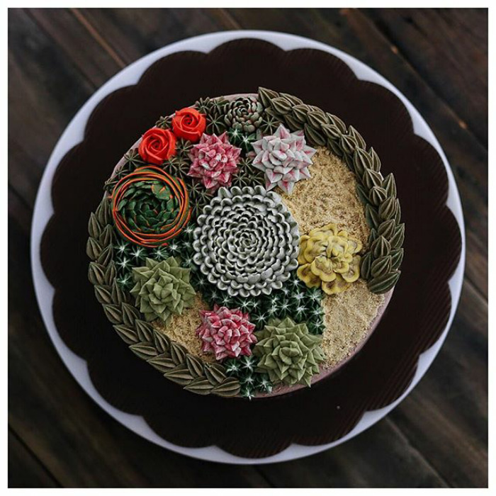 Succulent Cakes