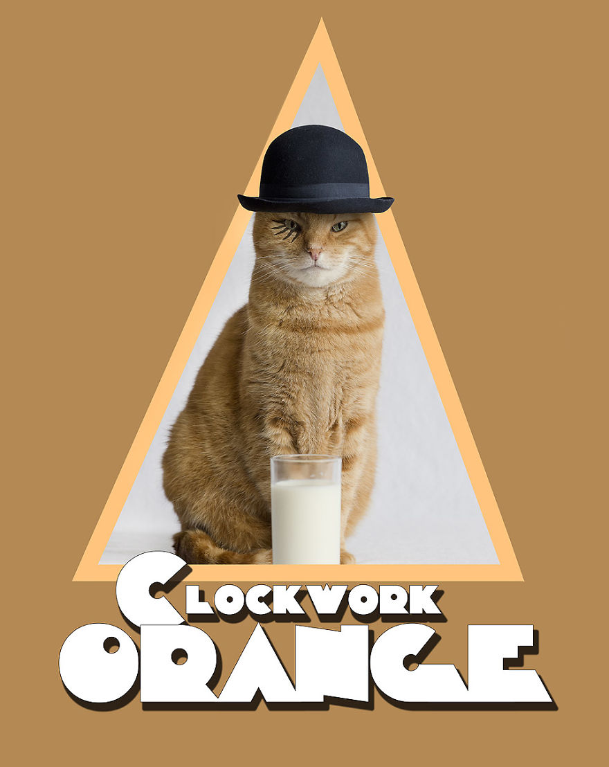 I Made A Career Out Of Annoying Cats