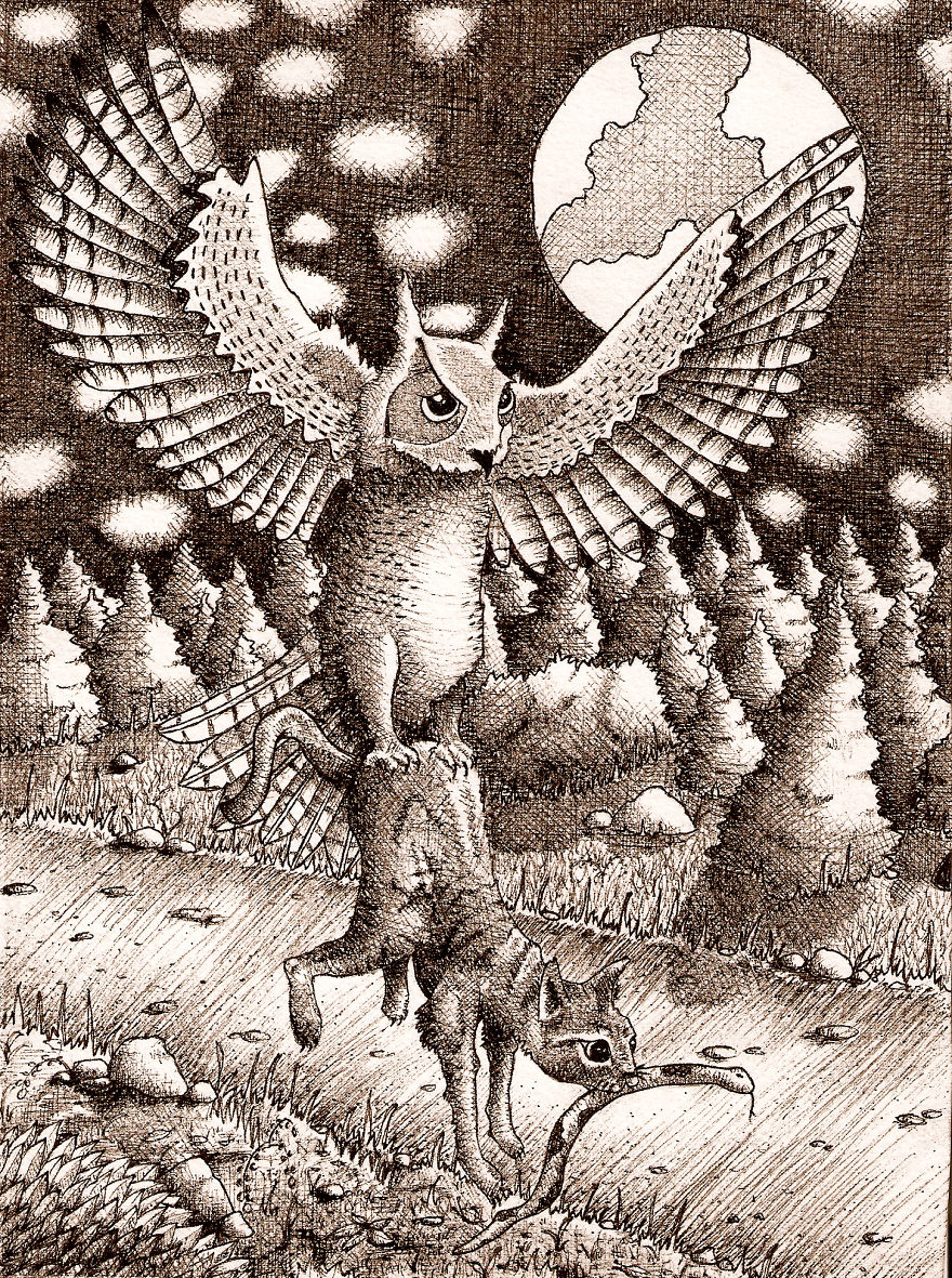 I Like To Draw Birds, Here Are Some Of My Favourites.