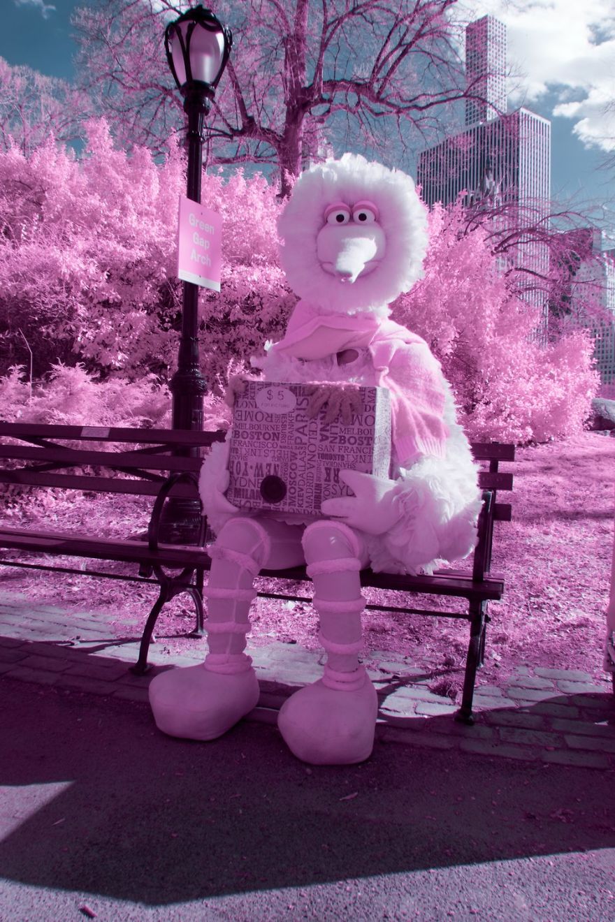 A Recent Infrared Photo Series. Nyc X Ir