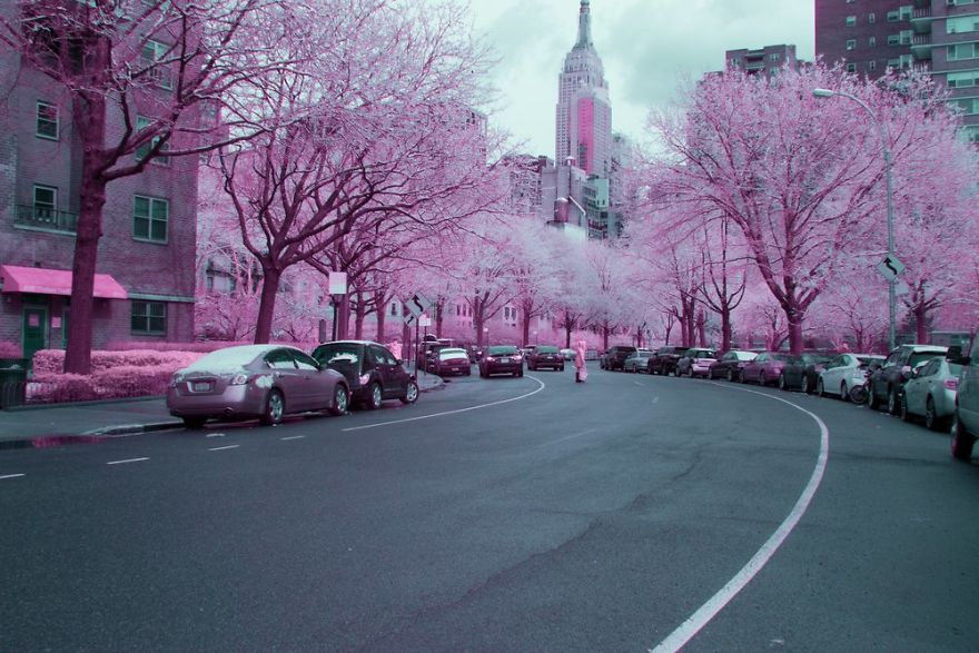 A Recent Infrared Photo Series. Nyc X Ir