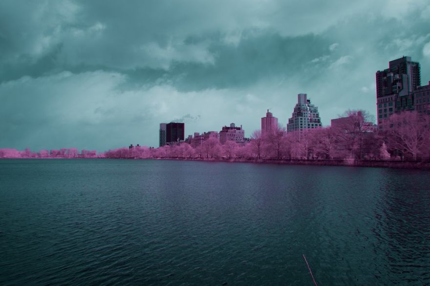 A Recent Infrared Photo Series. Nyc X Ir