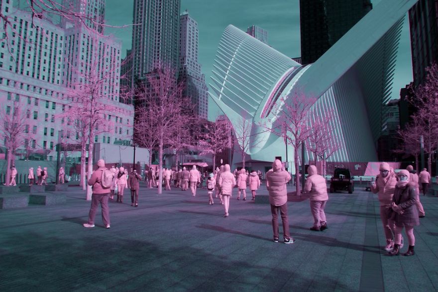 A Recent Infrared Photo Series. Nyc X Ir