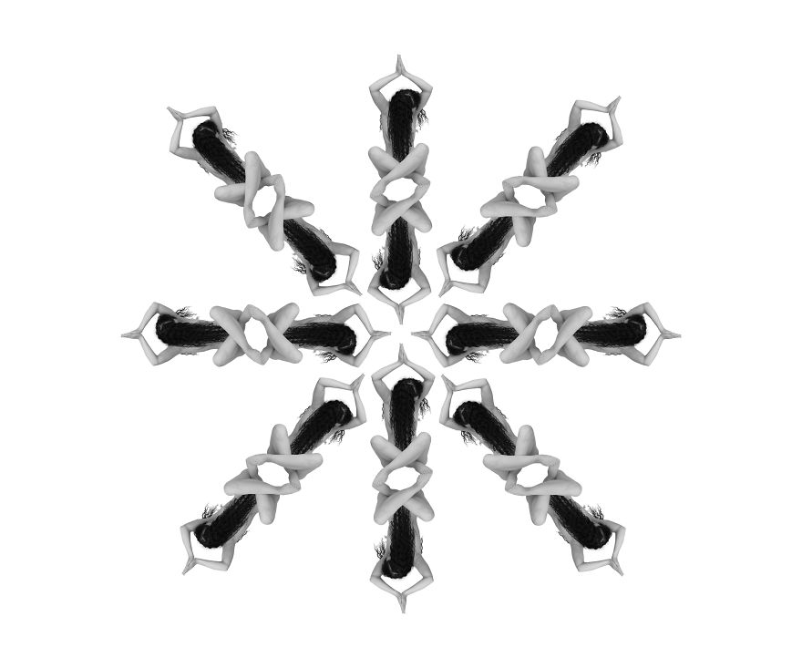 One For All One For All