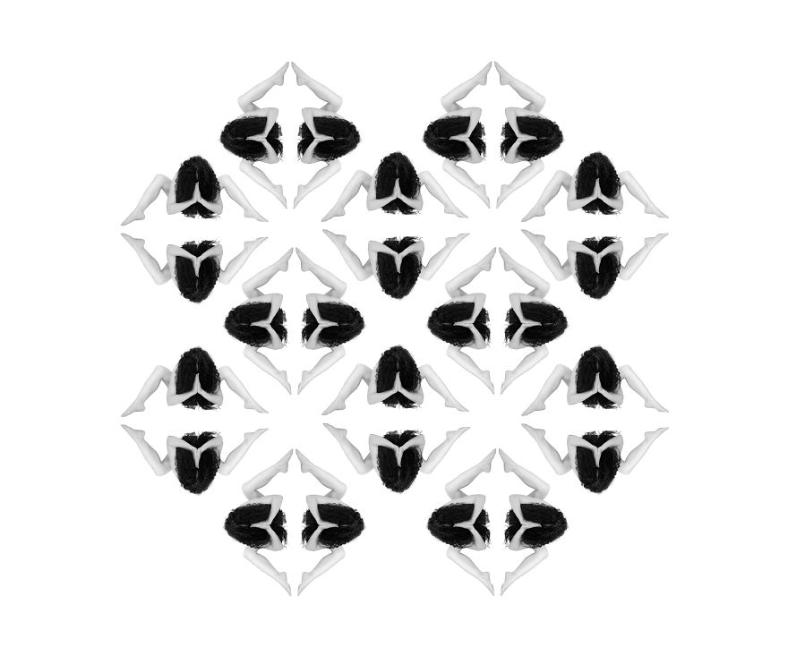 One For All One For All