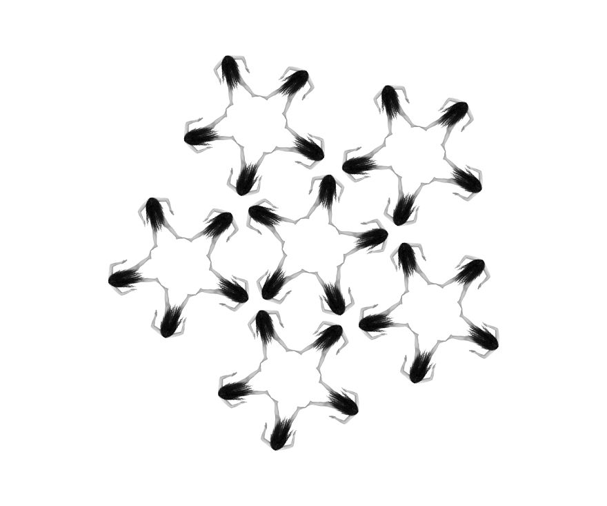 One For All One For All