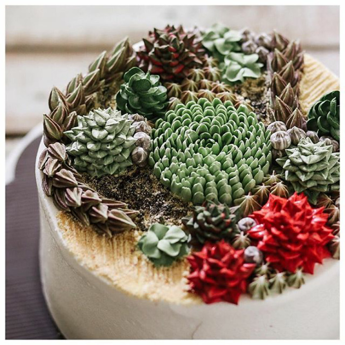 Succulent Cakes