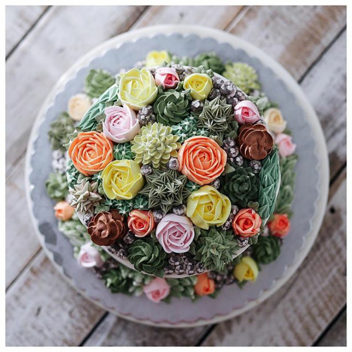 Succulent Cakes