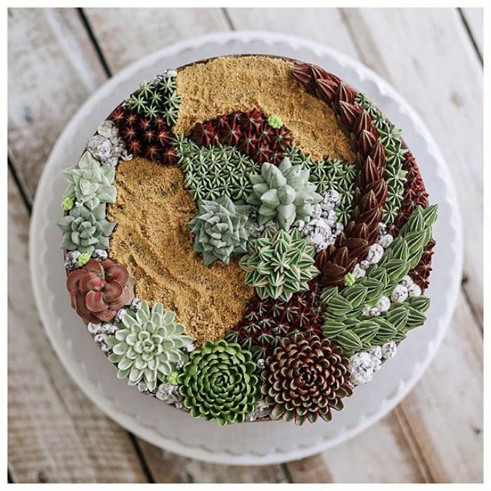 Succulent Cakes