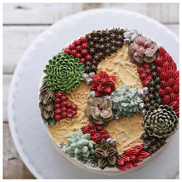 Succulent Cakes
