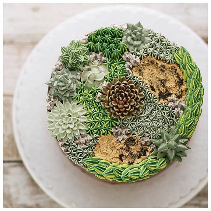 Succulent Cakes