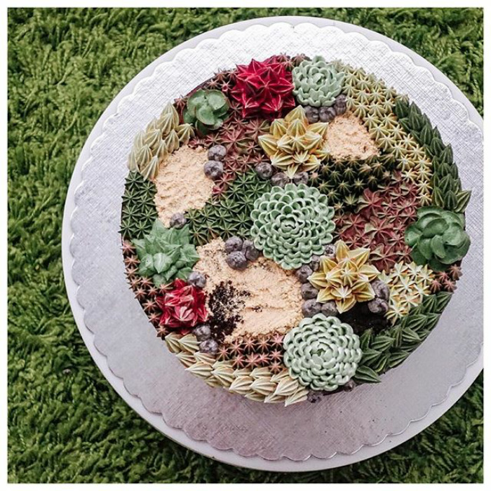 Succulent Cakes