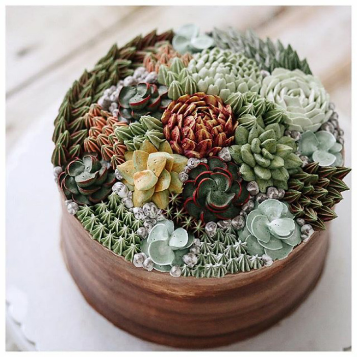 Succulent Cakes