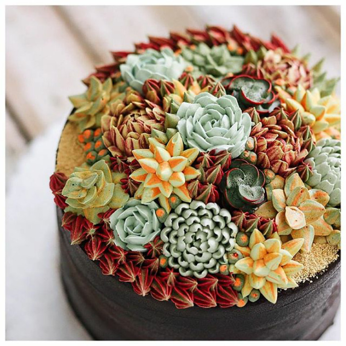 Succulent Cakes