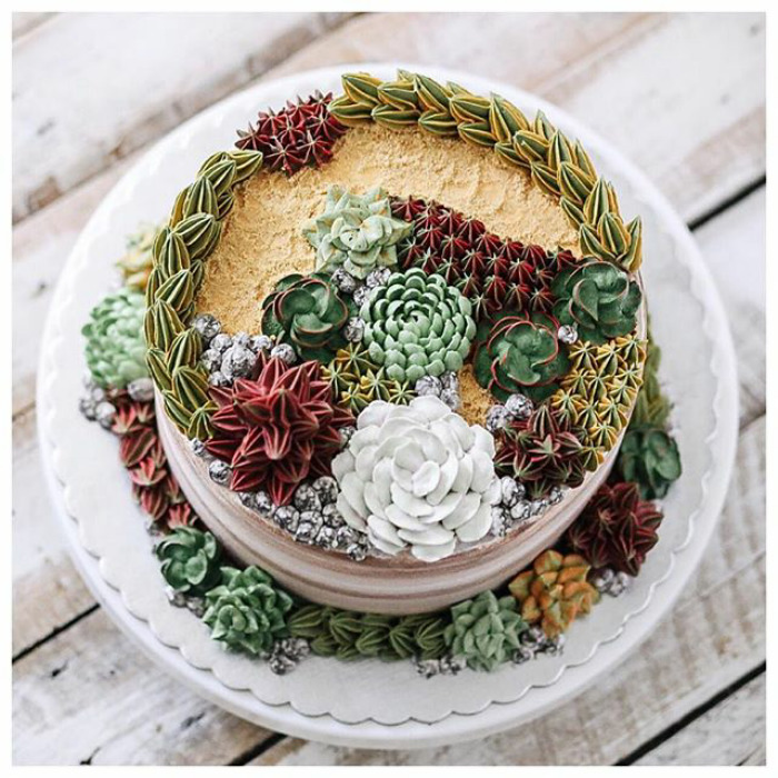 Succulent Cakes