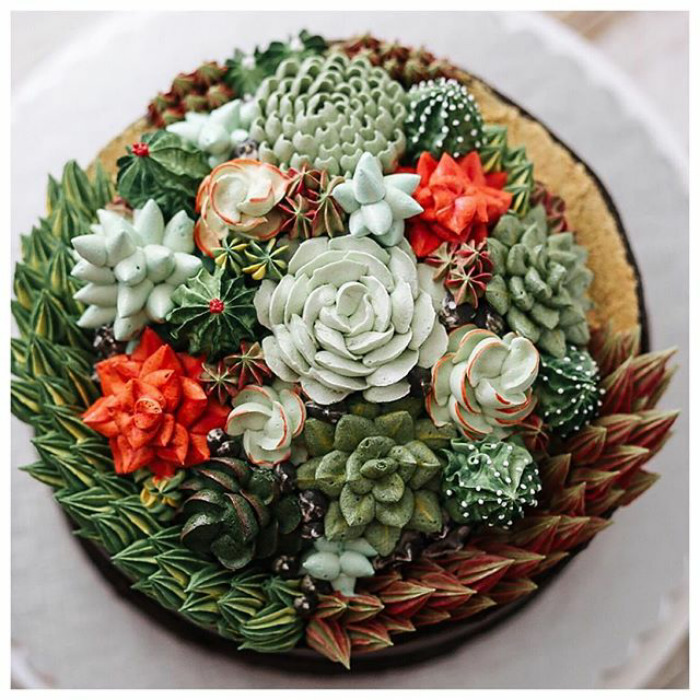 Succulent Cakes