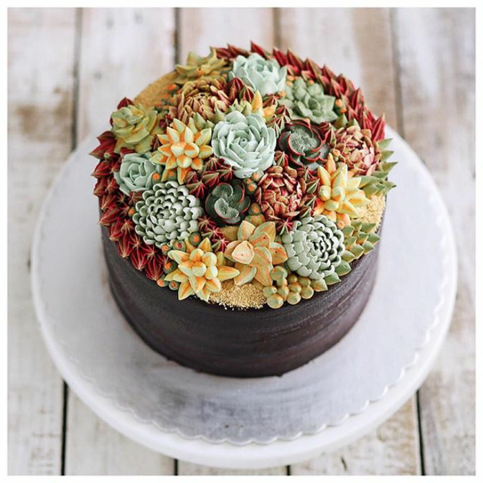 Succulent Cakes