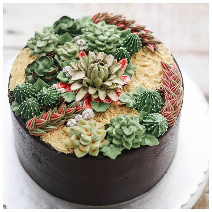 Succulent Cakes