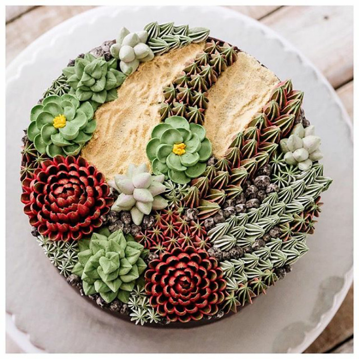 Succulent Cakes