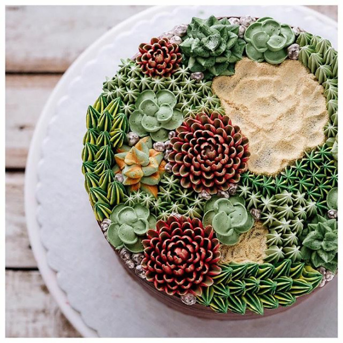 Succulent Cakes
