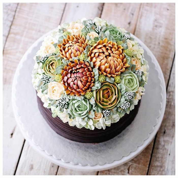 Succulent Cakes