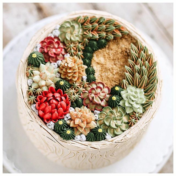 Succulent Cakes