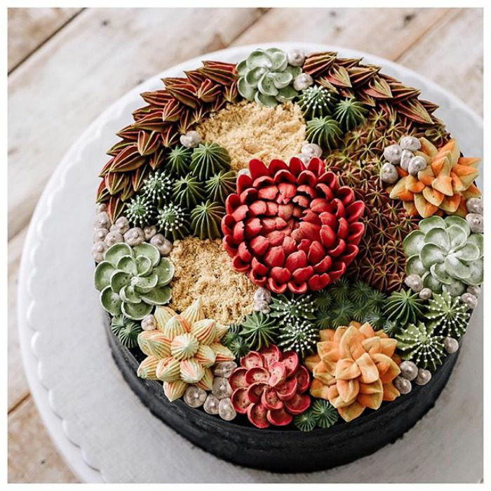 Succulent Cakes