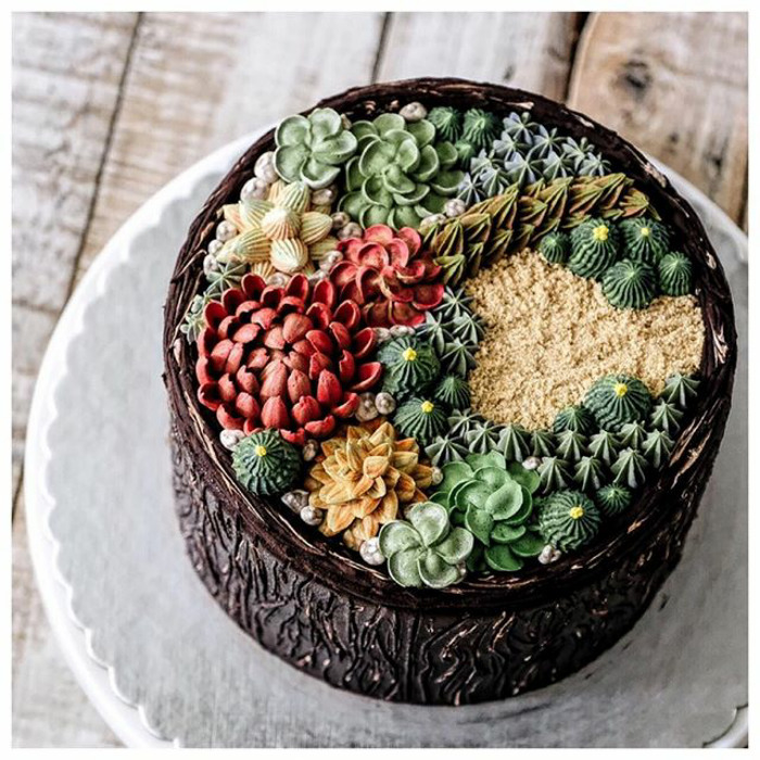 Succulent Cakes