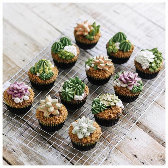 Succulent Cakes