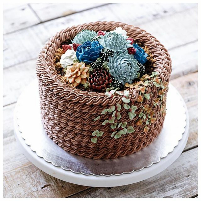 Succulent Cakes