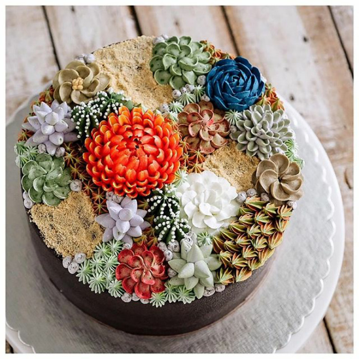 Succulent Cakes