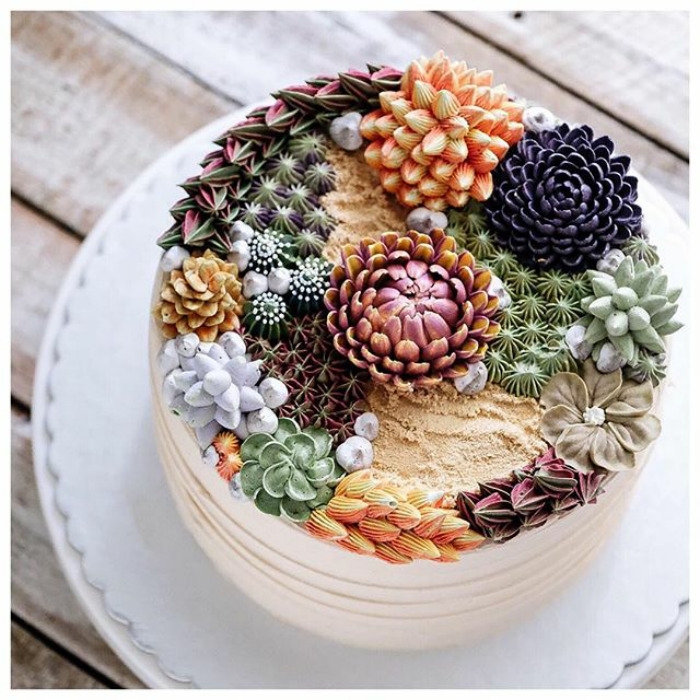 Succulent Cakes
