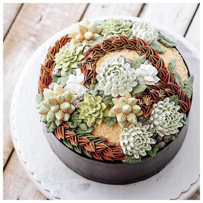 Succulent Cakes