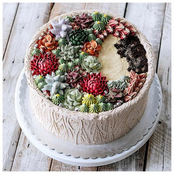 Succulent Cakes