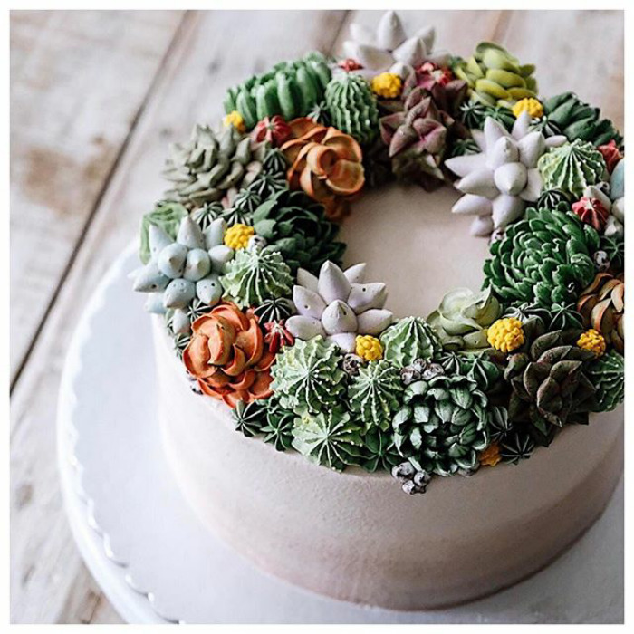 Succulent Cakes