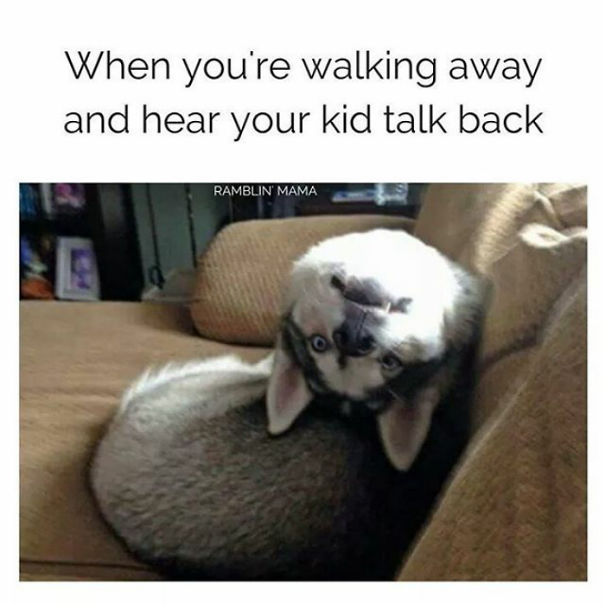 Parenting meme with a surprised dog on a couch, captioned about hearing a child talk back.