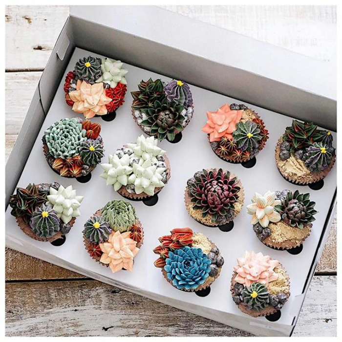 Succulent Cakes