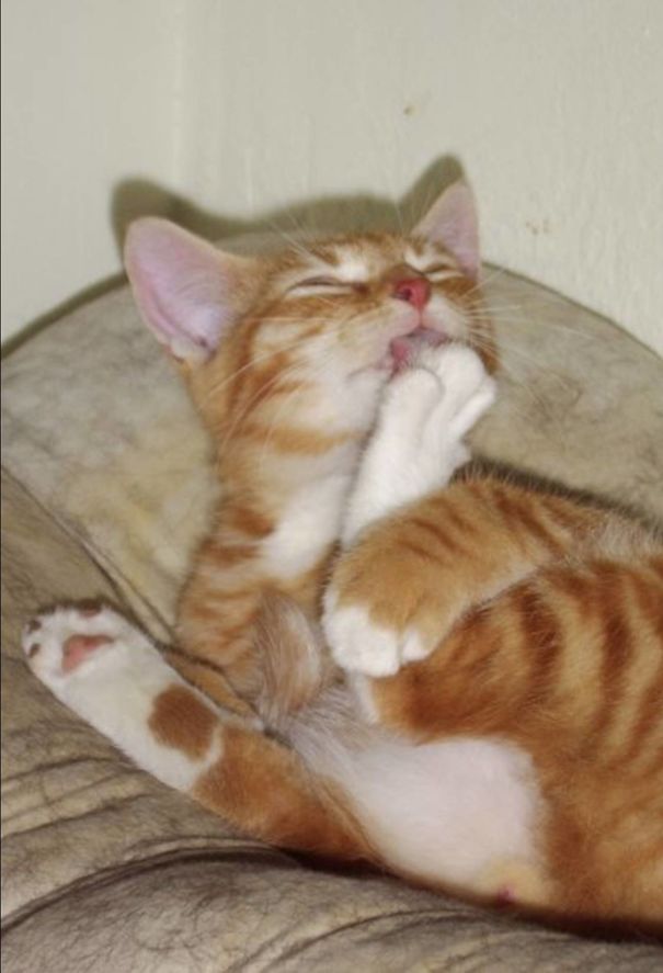 My Baby Thumper Taking His First Bath