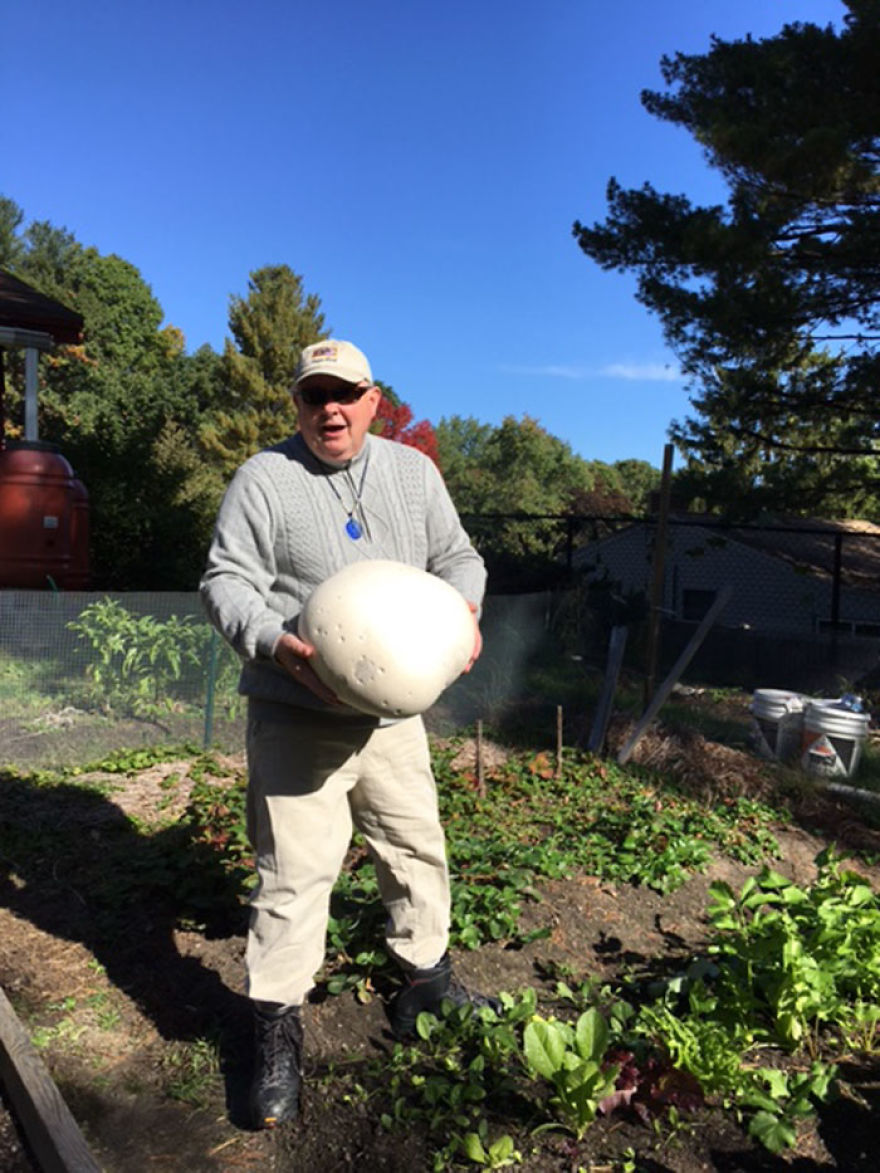 Biggest Mushroom Ever That Grew On Our Organic Farm
