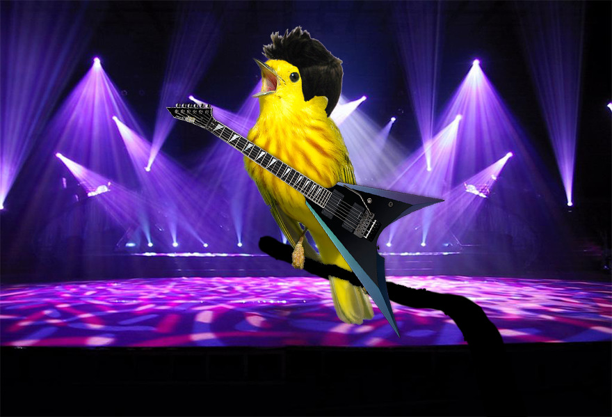 #9 Rockin' The Stage