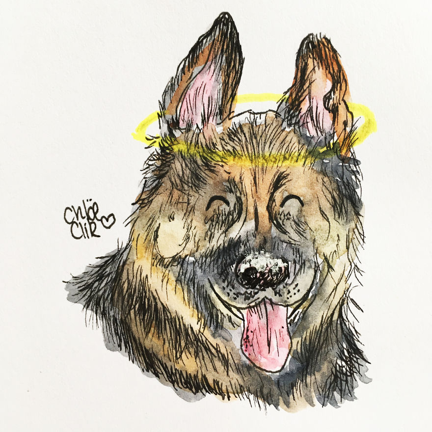 I Create Miniature Pet Portraits