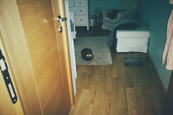 I Think He Is Charging Before His Next Attack On Mankind